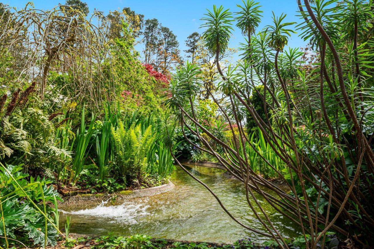 Parklands Country Gardens & Lodges Blue Mountains Blackheath Εξωτερικό φωτογραφία