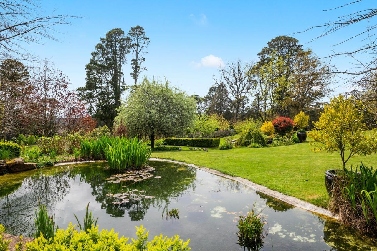 Parklands Country Gardens & Lodges Blue Mountains Blackheath Εξωτερικό φωτογραφία